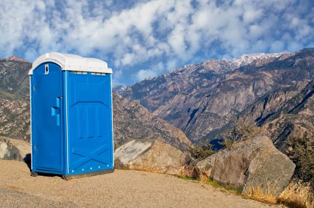 Best Sanitation services for porta potties  in Hooks, TX